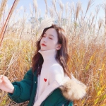 NG28下载地址官网